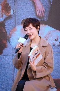 娱乐爆料孙俪,揭秘她的生活点滴与演艺事业 第1张 娱乐爆料孙俪,揭秘她的生活点滴与演艺事业 第1张